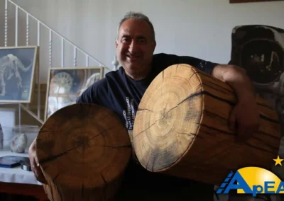 Aras de los Olmos