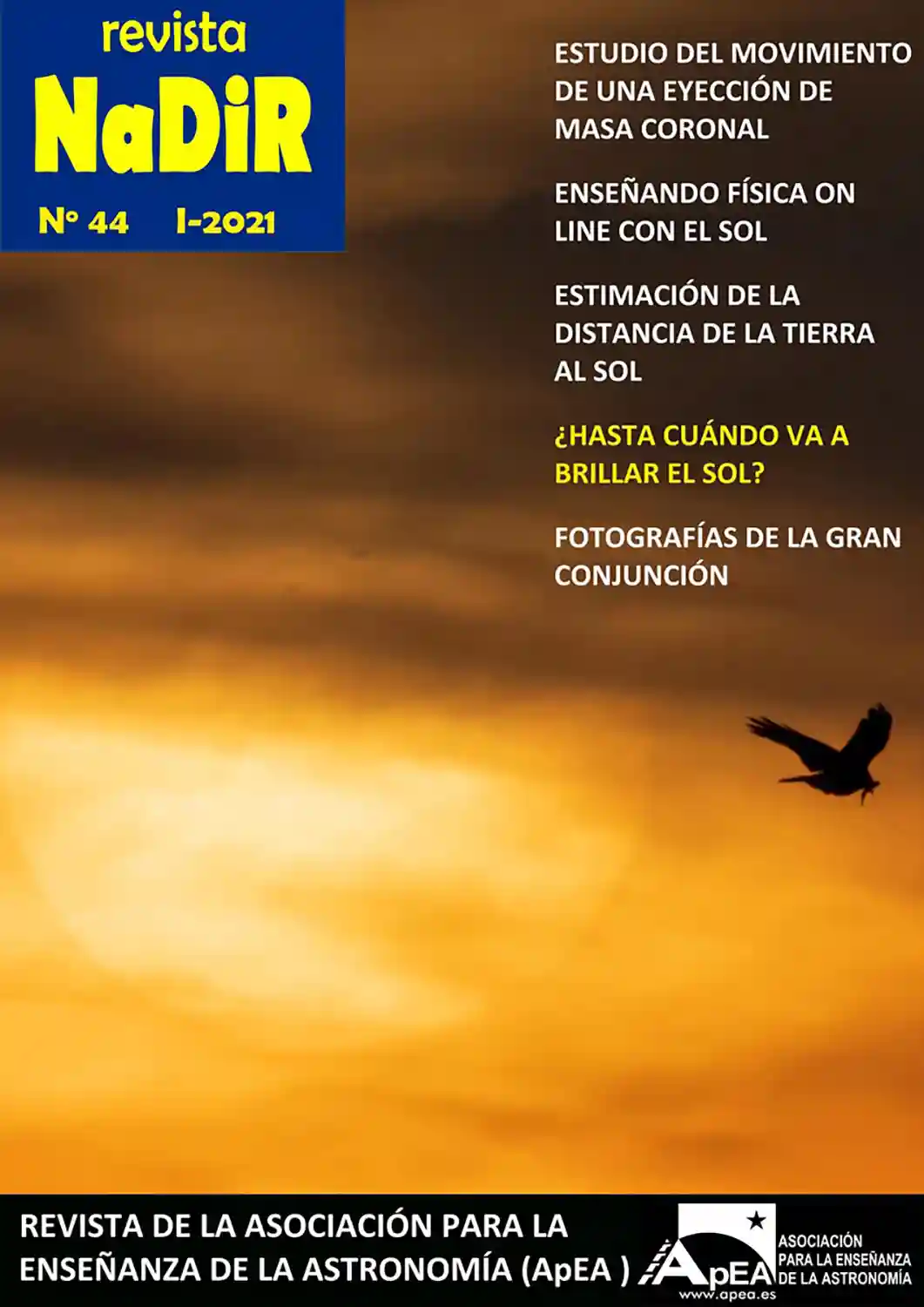 Nadir 44